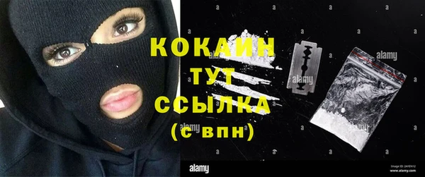 спиды Алзамай