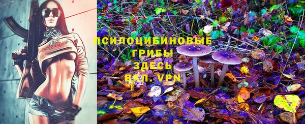 дурь Алексеевка