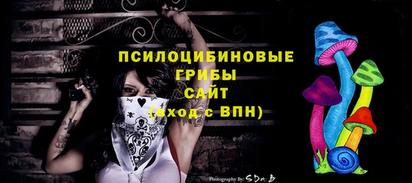 дурь Алексеевка