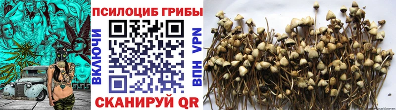 дарнет шоп  Данилов  блэк спрут ONION  Галлюциногенные грибы Psilocybe 