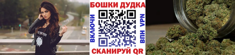 Бошки Шишки семена  закладки  Данилов 
